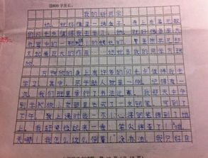 秋天校園同學作文600字
