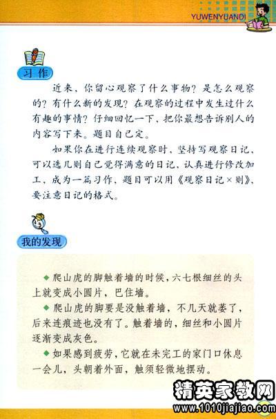 校園觀察日記300字四級(jí)作文