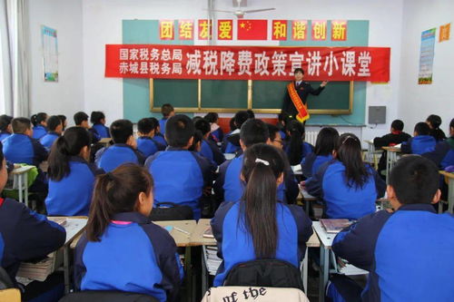 稅務宣傳進校園作文