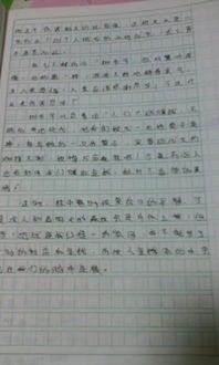 這個(gè)夏天我很快樂有關(guān)校園作文