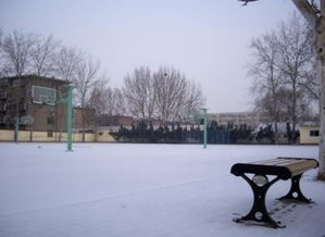 校園的冬季作文182字