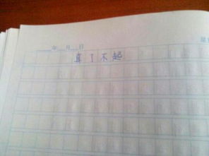 作文,荔枝,校園