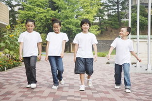 校園生活作文小學(xué)六年級(jí),快樂(lè)的校園生活六年級(jí)作文,校園生活作文400字小學(xué)六年級(jí)上冊(cè)