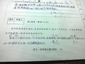 校園作文四級(jí)作文400字作文400字作文400字左右