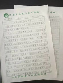 聽黨的話做好少作文接近校園