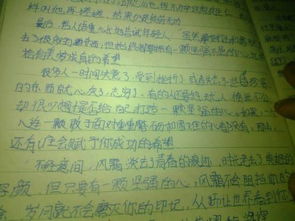 作文,創(chuàng)造,校園