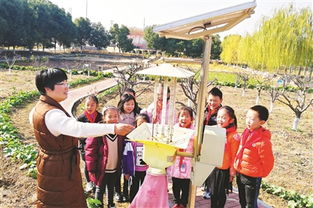 作文校園小農(nóng)場實踐