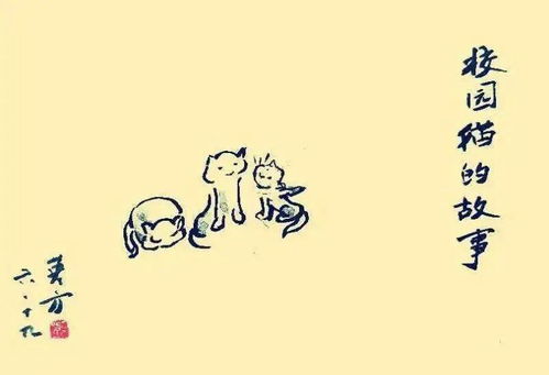 校園里的貓的故事作文