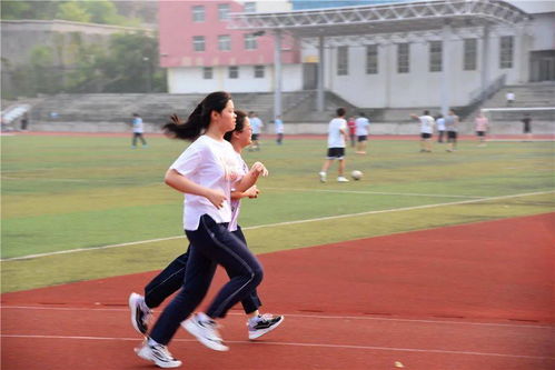 校園的夕陽西下寫一篇作文