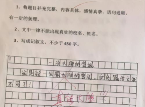 未來校園里的一道風(fēng)景線作文600字