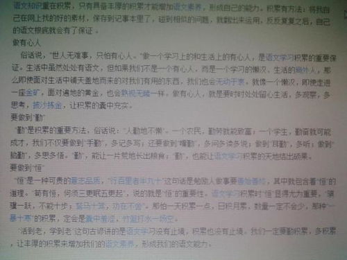 學生校園文化感悟作文300字