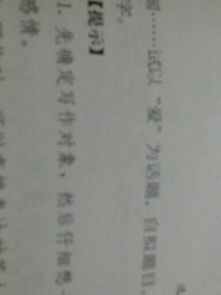 作文,校園里,棵樹,百字