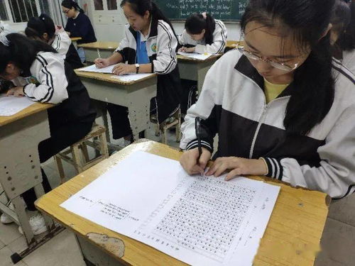 熱愛(ài)校園的作文高中