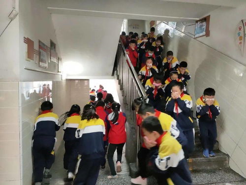 作文,演練,場景,校園