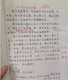 作文,背景,標題,校園