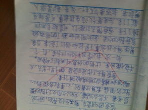 清晨的校園作文400字四年級(jí)上冊,清晨的校園作文400字四年級(jí),我的校園作文400字