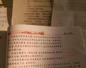 校園文藝節(jié)作文500