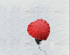 小學生作文冬天下雪的校園