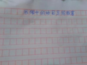 校園足球文化演講稿600字作文