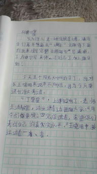 誠信教育進校園作文1000字