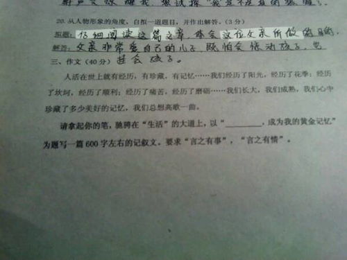 校園樟樹下的情思作文