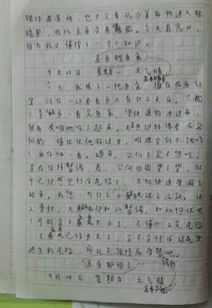 觀察校園魚(yú)塘作文350字