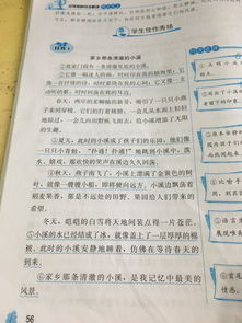 四級的校園生活350字作文