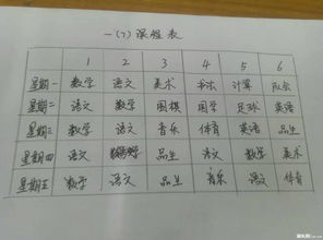 介紹校園作文青園小學(xué)