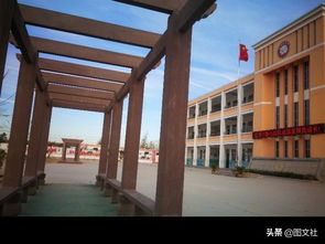 美麗的校園小學(xué)生作文250字