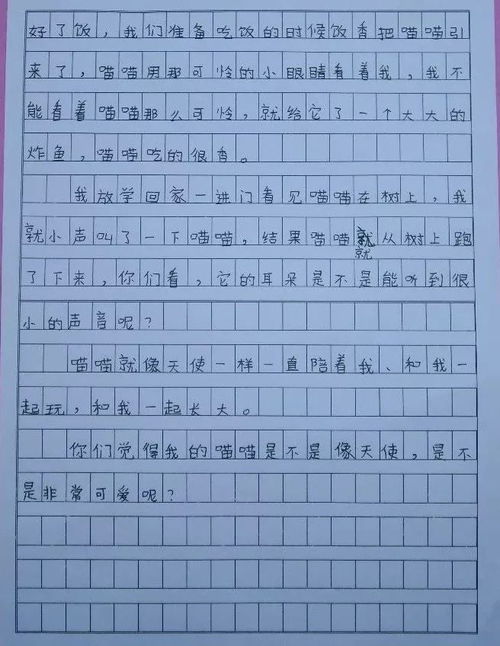 三級書香校園作文