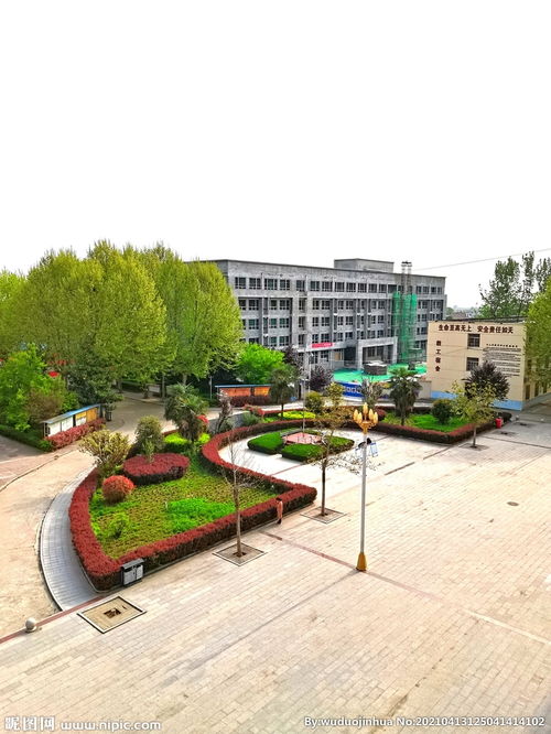 最美麗的風景800字,校園里美麗的風景,校園里最美麗的風景作文600字