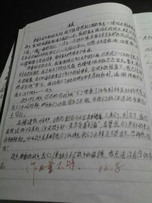 作文,剪影,校園,文明