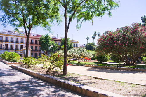 維護(hù)校園環(huán)境保護(hù)環(huán)境衛(wèi)生的作文故事