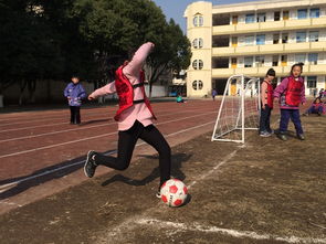 安吉第三小學(xué)校園作文