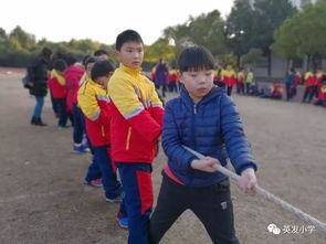 校園生活歡樂多四級作文