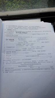 早晨的校園景象作文400字