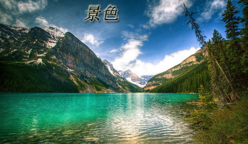 描寫校園景物的作文500