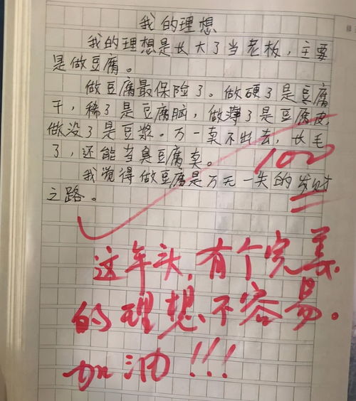 校園這里有我的理想作文