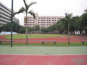 深圳市南山小學(xué)校園的作文