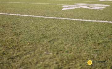 校園跑道操場作文