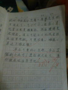 三級校園篇的作文