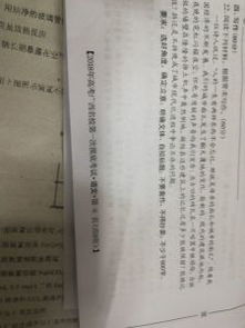 校園里的變化400字高中作文