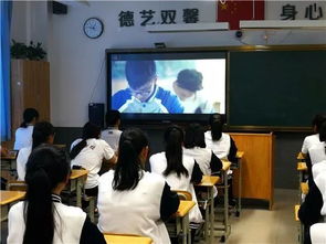 欺凌,作文,觀后感,校園