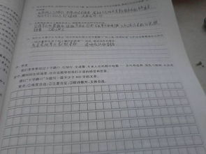 校園十大歌手作文800