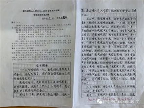 最有趣的校園活動(dòng)四級(jí)作文500字