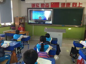 法律走進(jìn)校園安全伴我成長作文600字