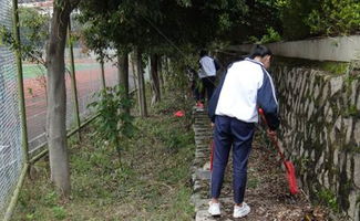 我愛校園做文明中學(xué)生作文大全