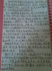 所見所聞,作文,所感,早晨