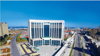 普蘭店八一希望小學(xué)簡(jiǎn)介作文校園