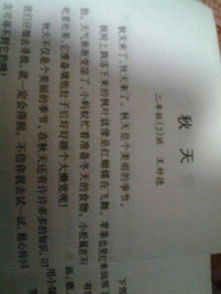 秋天的校園生活600字作文